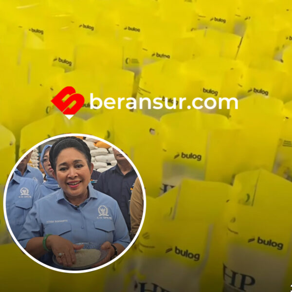 1,200 ton Beras Busuk di Temukan Bulog Maluku Utara