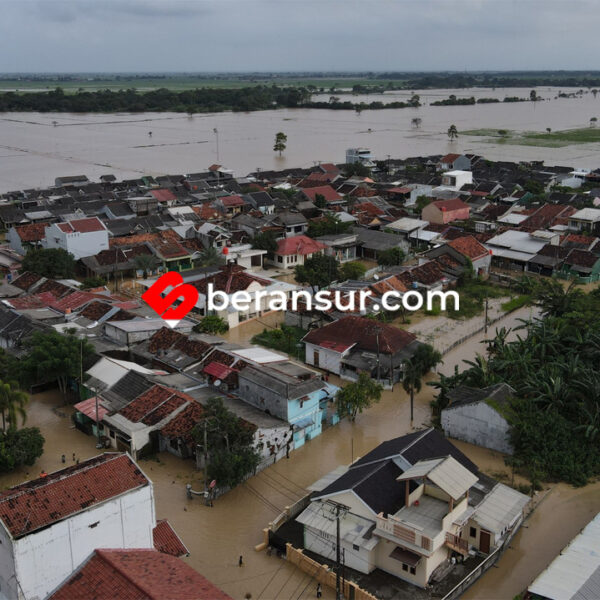 Cilamaya Terendam: Ribuan Rumah Terkepung Banjir, Aktivitas Warga Lumpuh Total