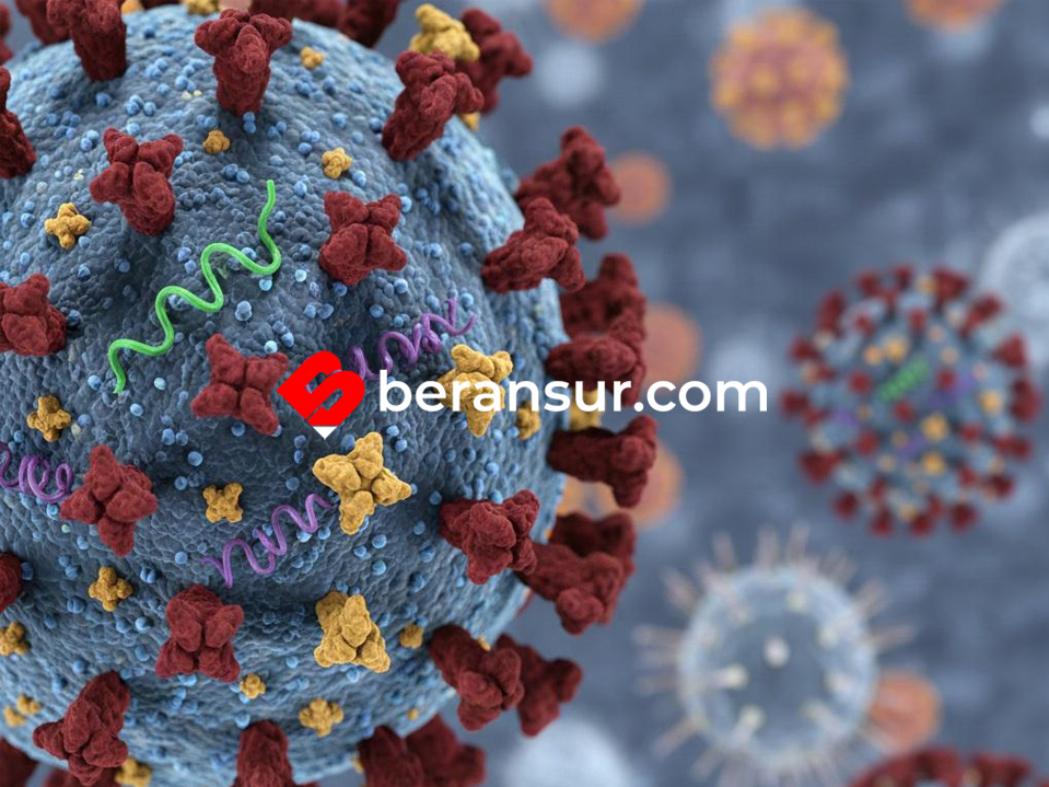 Kemenkes Konfirmasi Masuknya “Super Flu” H3N2 Subclade K di Indonesia