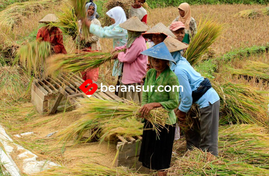 Bayangkan ” Dunia Tanpa Petani “