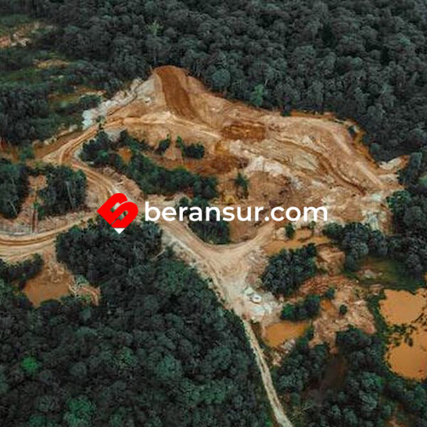 Banjir Bandang Berulang: Tanda Ekosistem Hutan Indonesia Mengalami Keruntuhan Fungsi