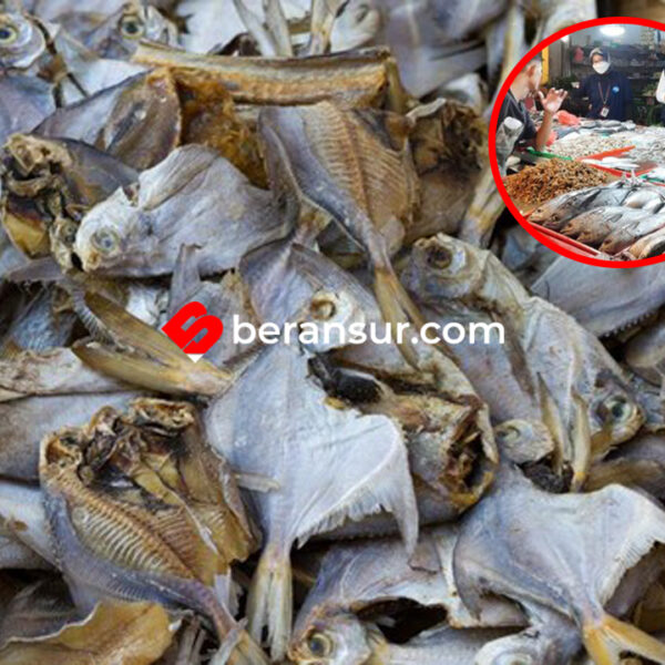 Bahaya Ikan Asin Berformalin, Ini Ciri dan Dampaknya bagi Kesehatan