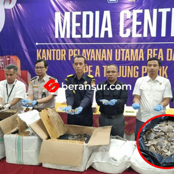 Bea Cukai Tanjung Priok Gagalkan Penyelundupan 3 Ton Sisik Trenggiling Senilai Rp 183 M