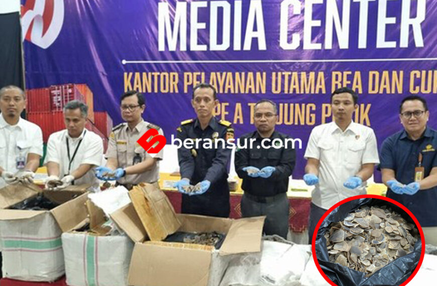 Bea Cukai Tanjung Priok Gagalkan Penyelundupan 3 Ton Sisik Trenggiling Senilai Rp 183 M
