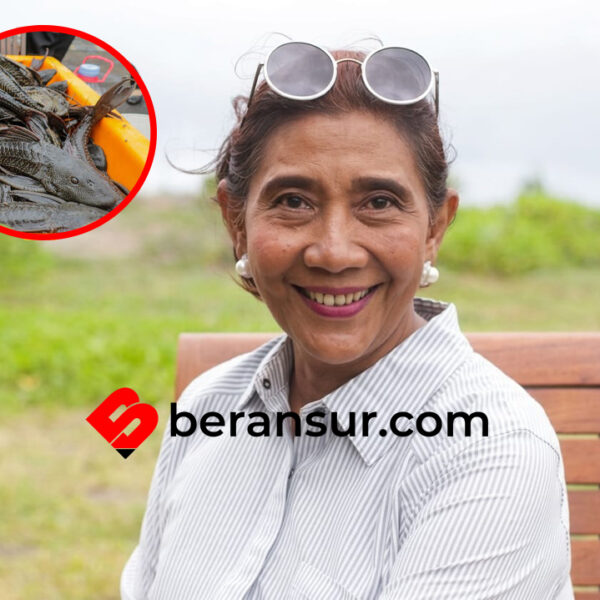 Susi Pudjiastuti Sarankan Tangkapan Ikan Sapu-sapu Diolah Jadi Pakan-Pupuk