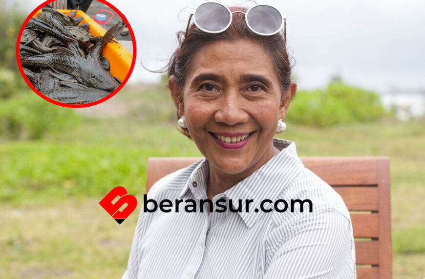 Susi Pudjiastuti Sarankan Tangkapan Ikan Sapu-sapu Diolah Jadi Pakan-Pupuk