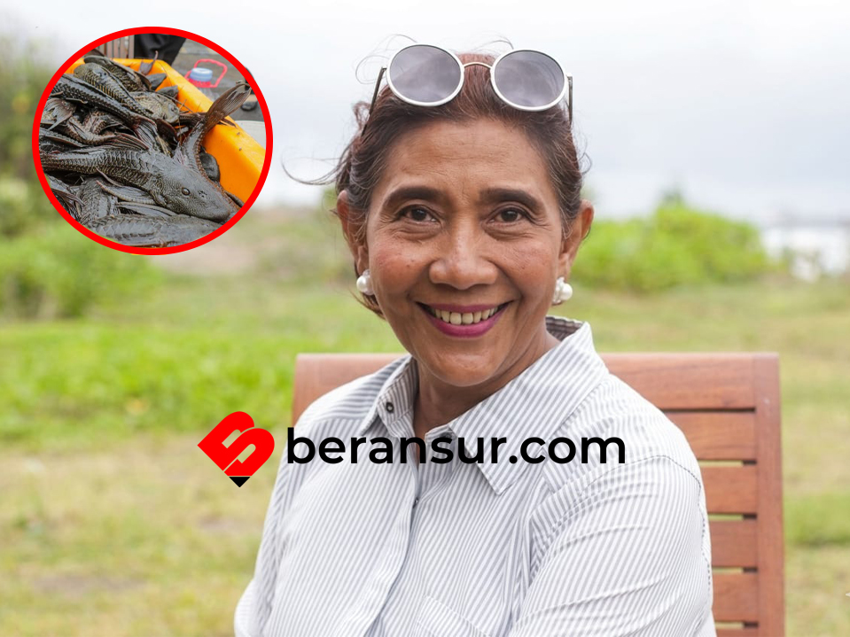Susi Pudjiastuti Sarankan Tangkapan Ikan Sapu-sapu Diolah Jadi Pakan-Pupuk