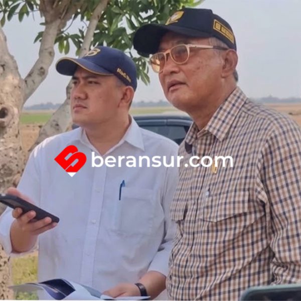 Melihat Sawah Kekeringan di Bekasi, Menteri PU Dody Hanggodo Tegur Keras Jajaran Dirjen SDA