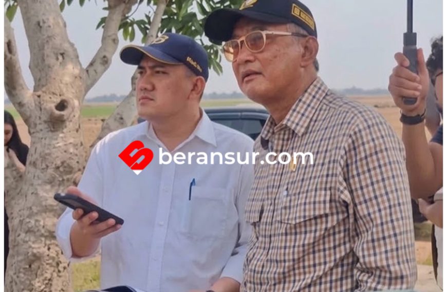 Melihat Sawah Kekeringan di Bekasi, Menteri PU Dody Hanggodo Tegur Keras Jajaran Dirjen SDA